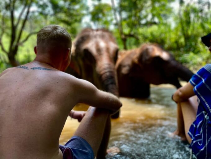 Chiang Mai: Elephant Dream Project Sanctuary - Full Day - Booking and Inclusion Details