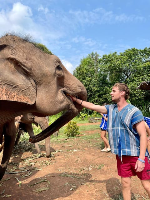 Chiang Mai: Elephant Dream Project Sanctuary - Full Day - Frequently Asked Questions