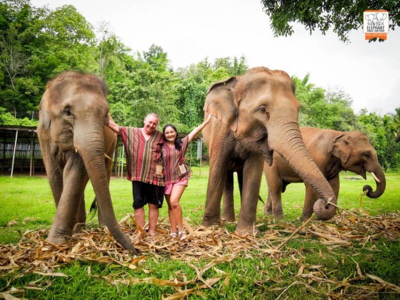 Chiang Mai: Elephant Jungle Sanctuary With Lunch & Transfer - Itinerary