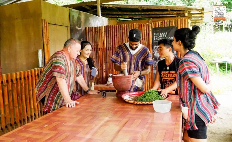Chiang Mai: Elephant Jungle Sanctuary With Lunch & Transfer - Suitability