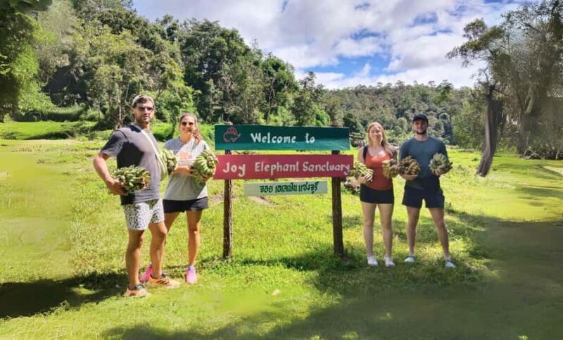 Chiang Mai: Elephant Observation & Wang River Bamboo Rafting - Key Points