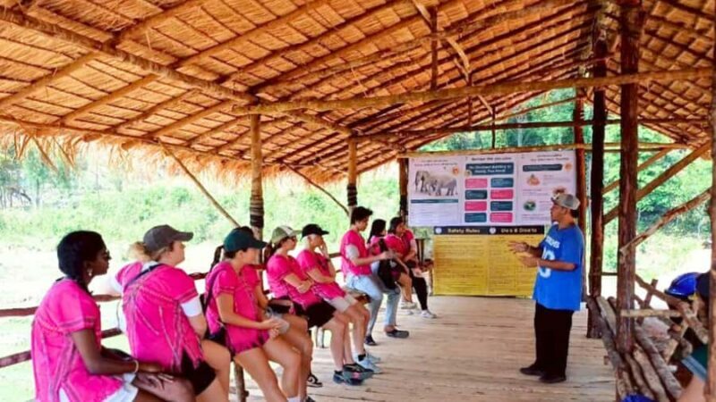 Chiang Mai: Elephant Observation & Wang River Bamboo Rafting - Price & Value: What’s the Cost?