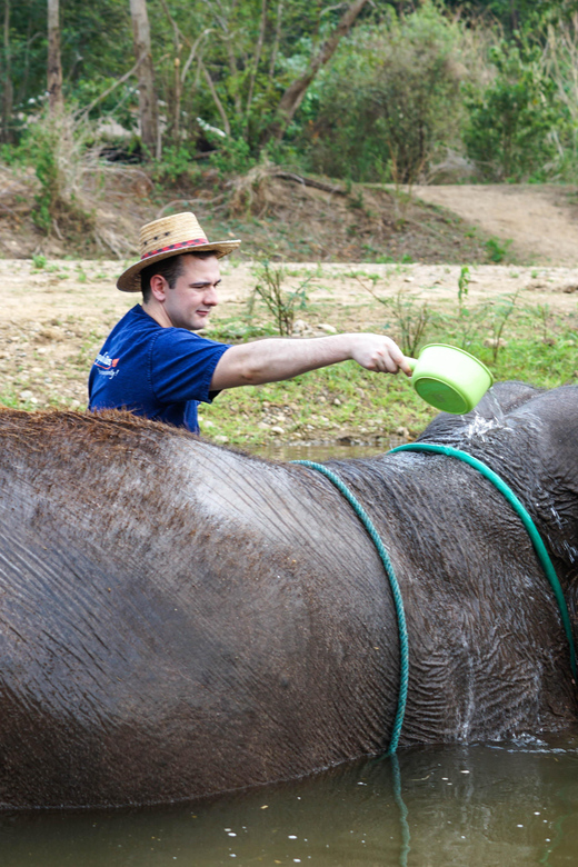 Chiang Mai: Elephant Sanctuary Experience & Doi Suthep Tour - Ethical Elephant Sanctuary