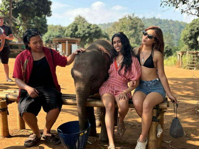 Chiang Mai: Elephant Sanctuary Feeding Program Half-Day Tour - Transportation and Group Size