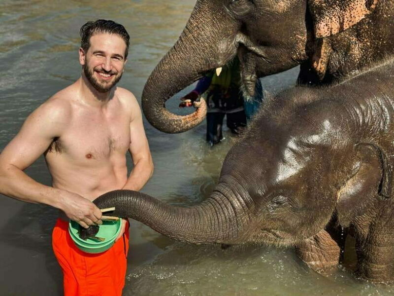 Chiang Mai: Elephant Sanctuary Feeding Program Half-Day Tour - What Travelers Say
