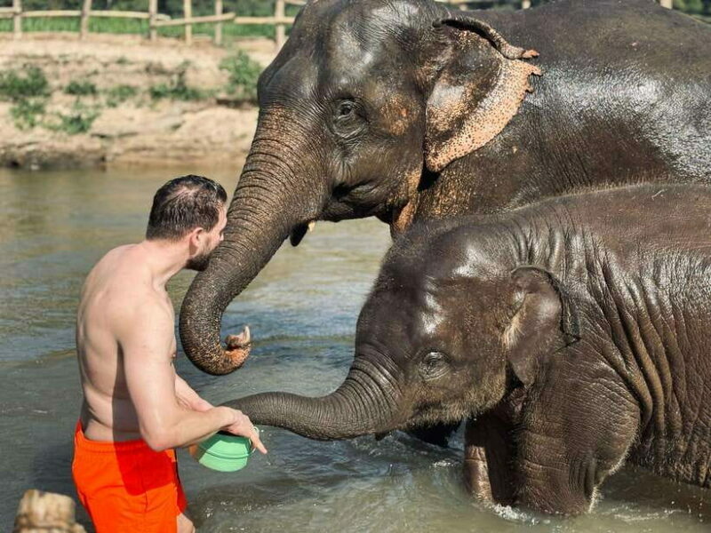 Chiang Mai: Elephant Sanctuary Feeding Program Half-Day Tour - Who Will Love This Tour?