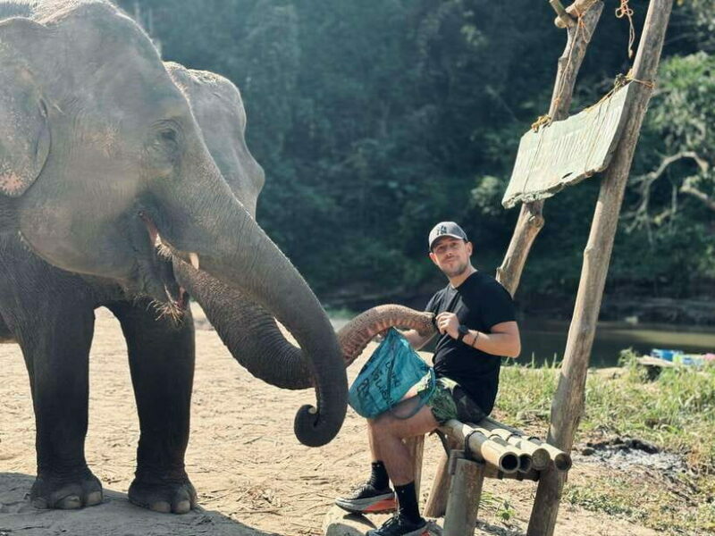 Chiang Mai: Elephant Sanctuary Feeding Program Half-Day Tour - Who Might Not Enjoy It?