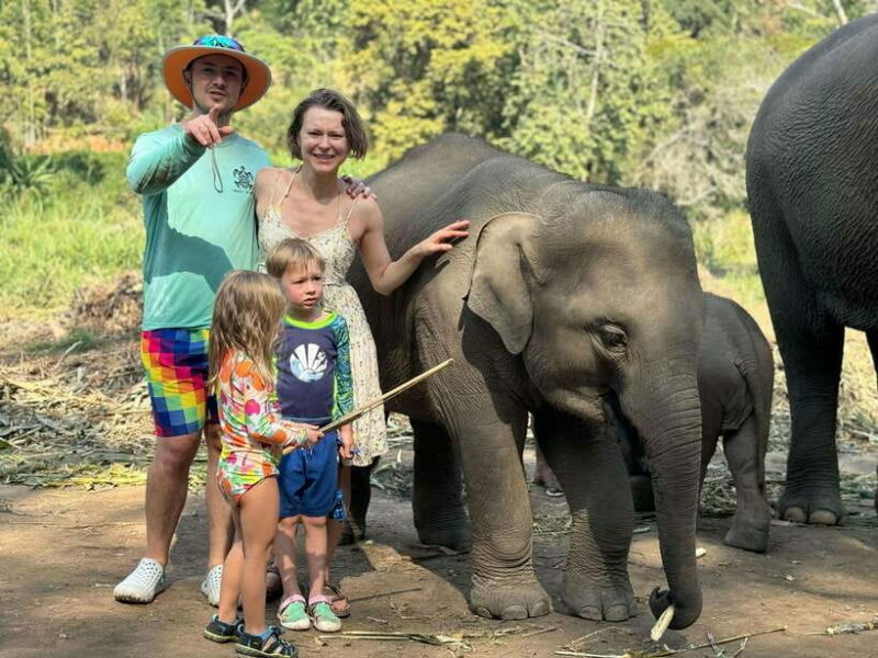 Chiang Mai: Elephant Sanctuary Feeding Program Half-Day Tour - FAQ