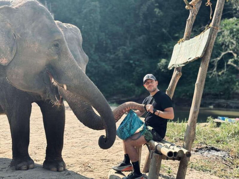 Chiang Mai: Elephant Sanctuary Feeding Program Half-Day Tour - Nature Walk With Rangers