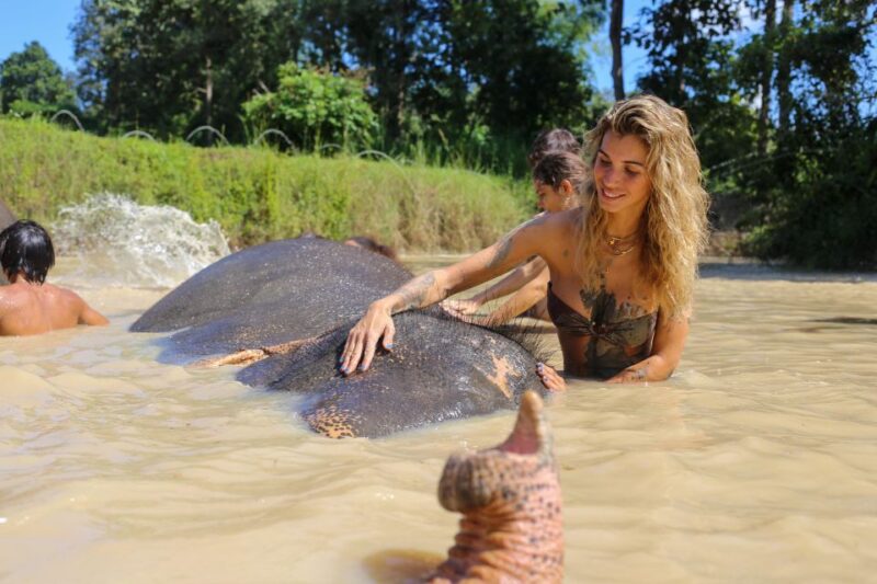 Chiang Mai: Elephant Sanctuary Guided Tour in Spanish - Key Points