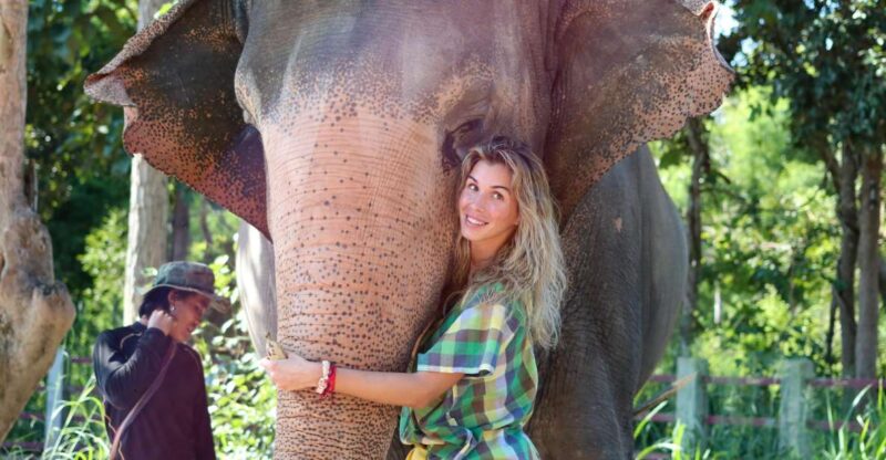 Chiang Mai: Elephant Sanctuary Guided Tour in Spanish - Experience Highlights
