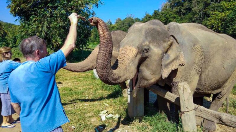Chiang Mai: Elephant Sanctuary Guided Tour in Spanish - Inclusions Explained