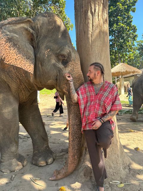 Chiang Mai: Elephant Sanctuary Guided Tour in Spanish - Mobility Considerations