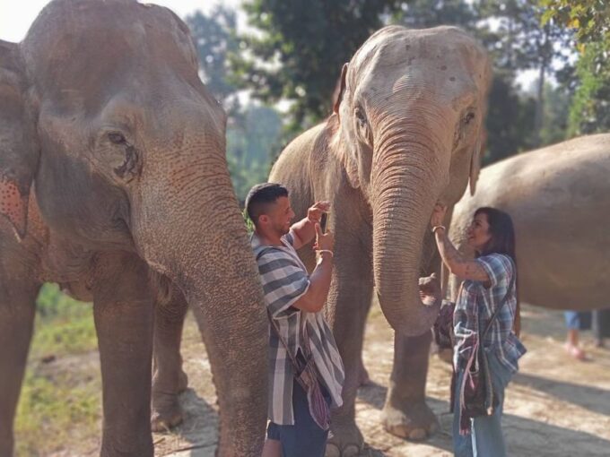 Chiang Mai: Elephant Sanctuary Guided Tour in Spanish - Booking Information