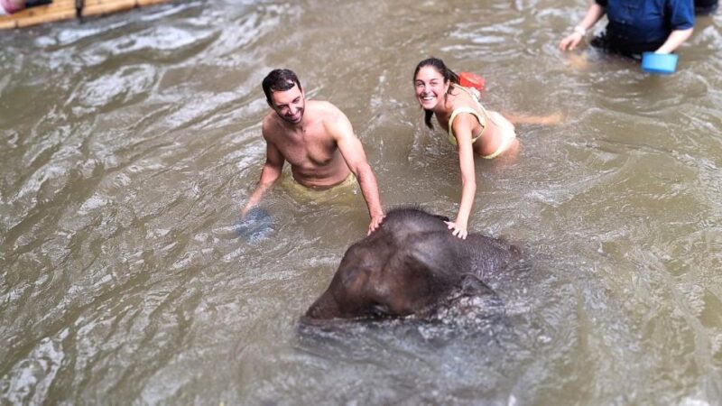 Chiang Mai: Elephant Sanctuary Interactive Tour - Experience Highlights
