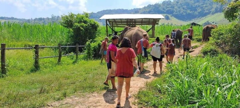 Chiang Mai: Elephant Sanctuary Local Hill Tribe Caretakers - Sustainable Tourism Initiatives