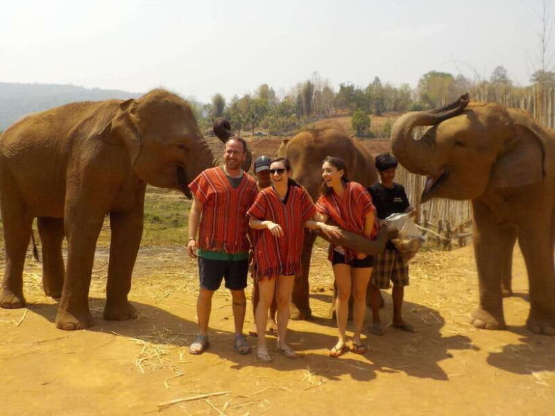 Chiang Mai: Elephant Sanctuary Local Hill Tribe Caretakers - Exploring Local Karen and Hmong Communities