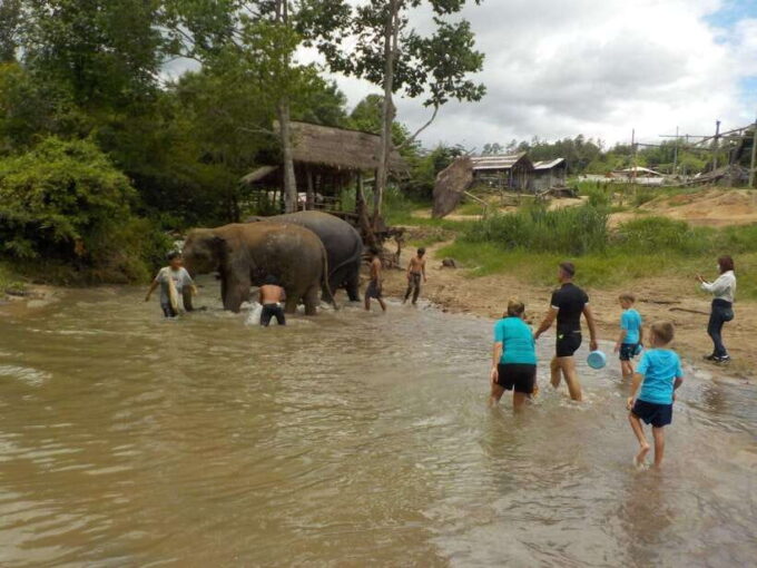 Chiang Mai: Elephant Sanctuary Local Hill Tribe Caretakers - Frequently Asked Questions