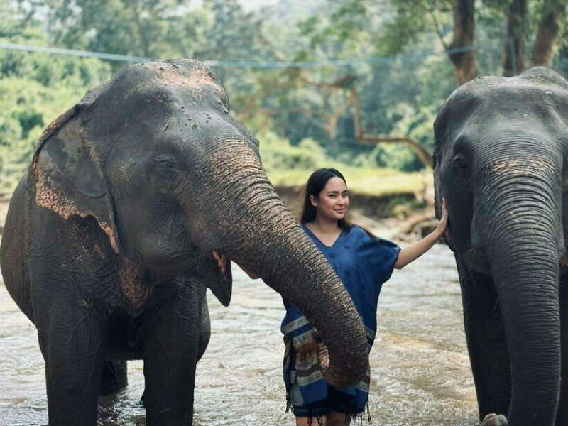 Chiang Mai: Elephant Sanctuary, Long Neck & Sticky Waterfall - Practical Details