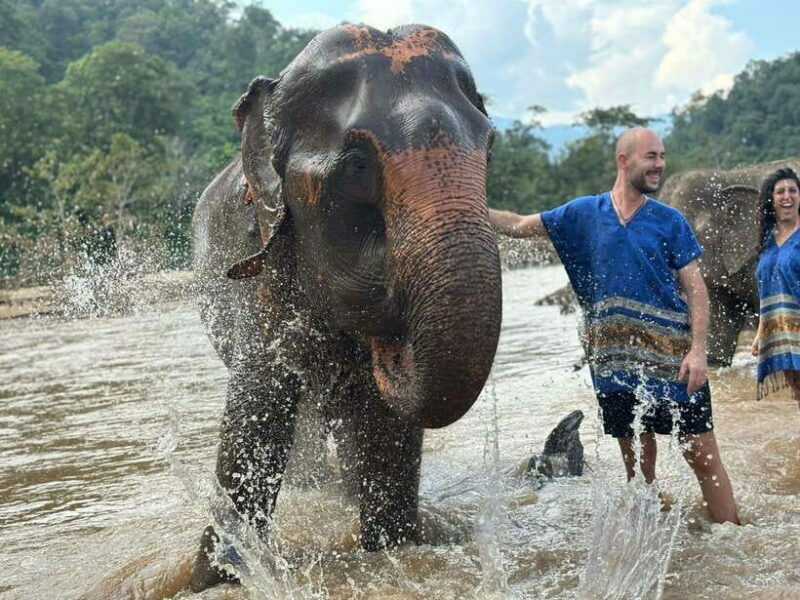 Chiang Mai: Elephant Sanctuary, Long Neck & Sticky Waterfall - Authentic Experiences That Make a Difference