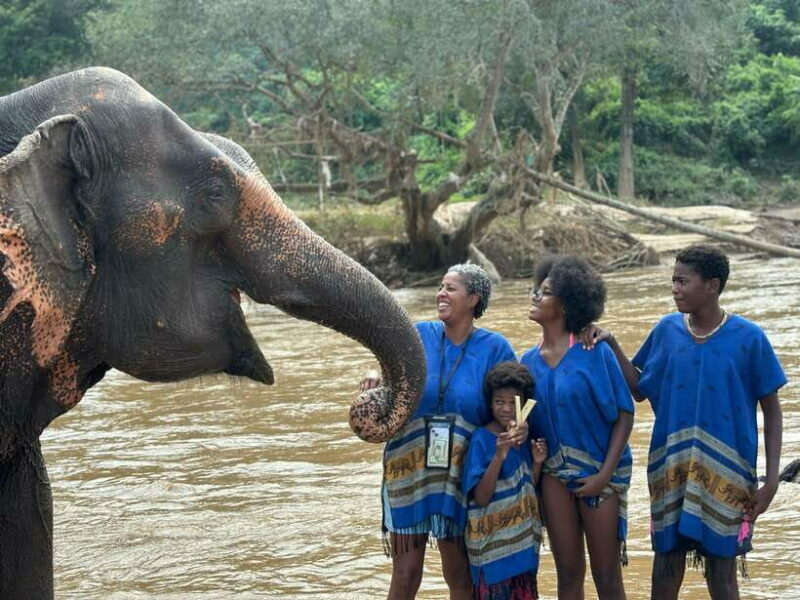 Chiang Mai: Elephant Sanctuary, Long Neck & Sticky Waterfall - Who is This Tour Best For?