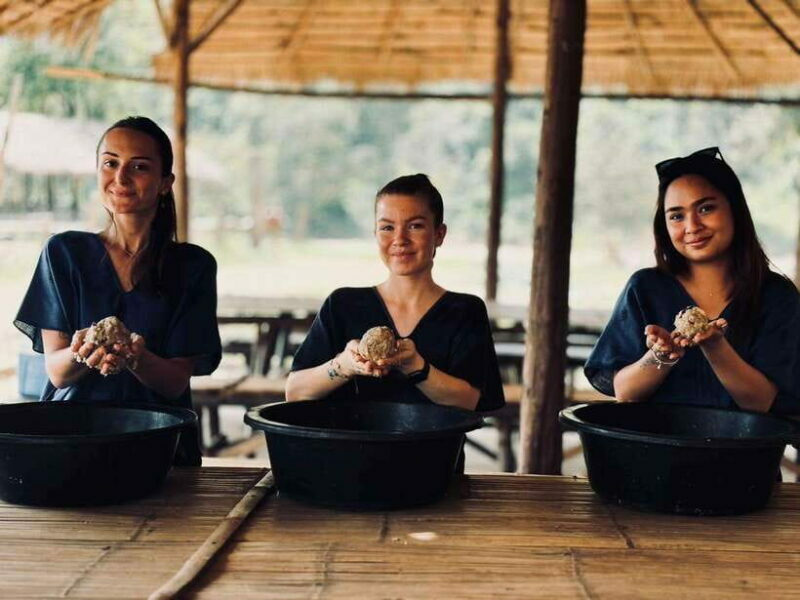 Chiang Mai: Elephant Sanctuary, Long Neck & Sticky Waterfall - Final Thoughts