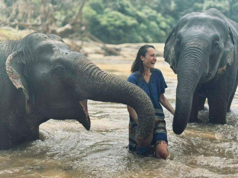 Chiang Mai: Elephant Sanctuary, Long Neck & Sticky Waterfall - Summary
