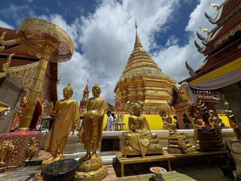 Chiang Mai: Elephant Sanctuary, Monk Trail & Doi Suthep Tour - Included Features