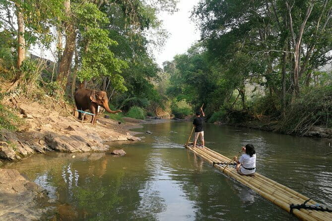Chiang Mai Elephant Sanctuary Observation and Bamboo Rafting - Who Should Consider This Tour?