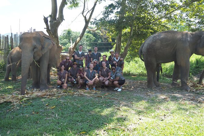 Chiang Mai Elephant Sanctuary Small Group Ethical Tour - Conservation Efforts