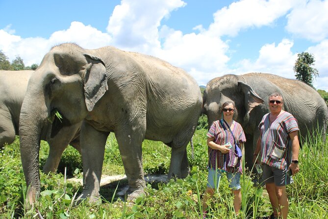 Chiang Mai Elephant Sanctuary Small Group Ethical Tour - Inclusions and Practicalities
