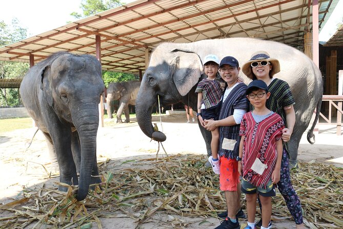 Chiang Mai Elephant Sanctuary Small Group Ethical Tour - Authentic Reviews