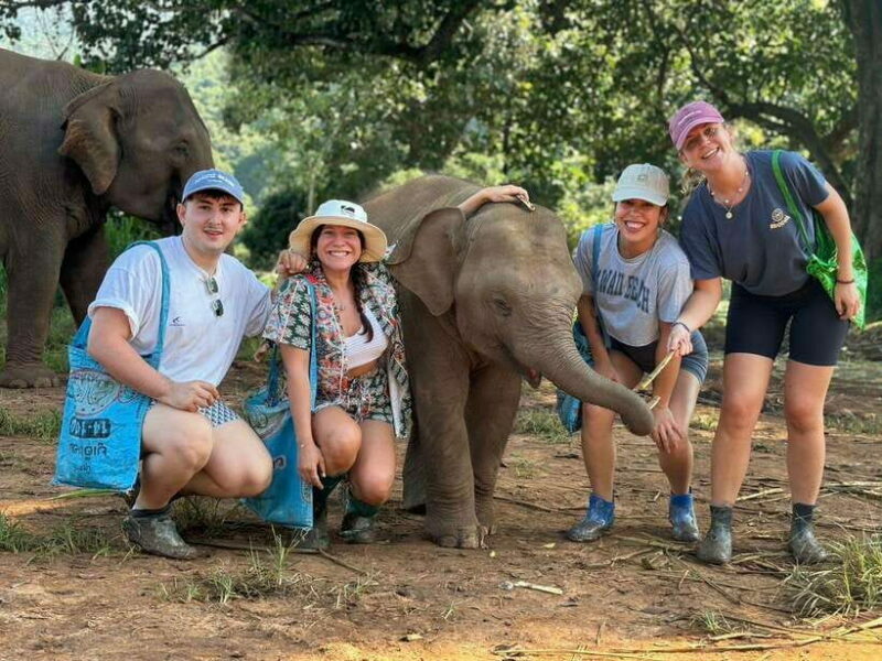 Chiang Mai: Elephant Sanctuary, Waterfall & Bamboo Rafting - An In-Depth Look at the Tour Experience