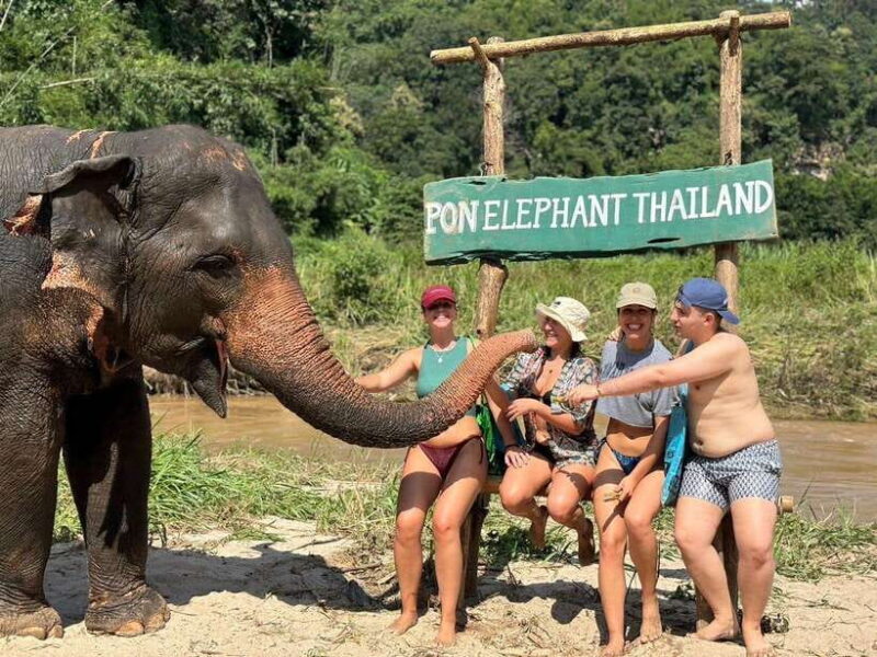 Chiang Mai: Elephant Sanctuary, Waterfall & Bamboo Rafting - Highlights and Activities
