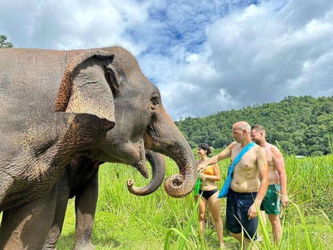 Chiang Mai: Elephant Sanctuary, Waterfall & Bamboo Rafting - Transportation and Meeting Point