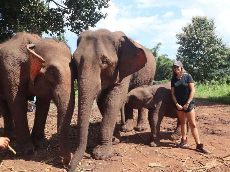 Chiang Mai: Elephant Sanctuary & Waterfall Group Tour - Pricing and Inclusions
