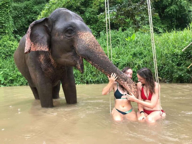 Chiang Mai: Elephant Sanctuary & Waterfall Group Tour - Itinerary and Activities