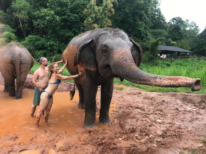 Chiang Mai: Elephant Sanctuary & Waterfall Group Tour - Highlights and Experiences