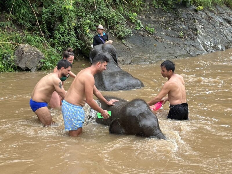 Chiang Mai: Elephant Sanctuary & Waterfall Group Tour - Participant Considerations