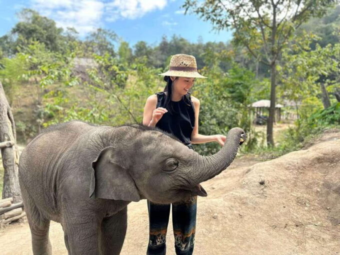 Chiang Mai: Elephant Sanctuary & Waterfall Group Tour - Feedback and Ratings