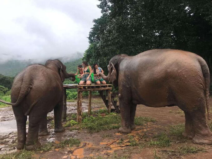 Chiang Mai: Elephant Sanctuary & Waterfall Group Tour - Booking and Cancellation Policy