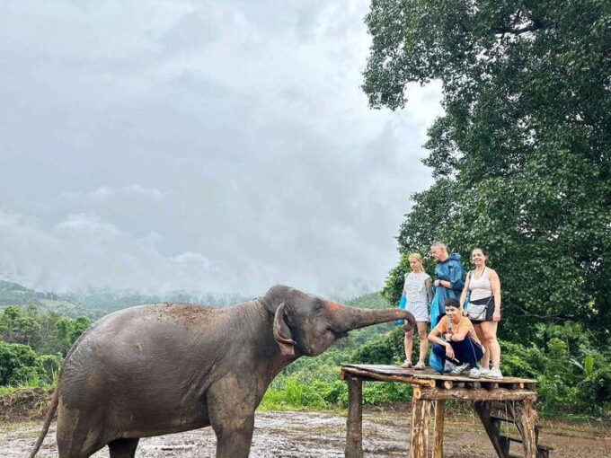 Chiang Mai: Elephant Sanctuary & Waterfall Group Tour - Frequently Asked Questions