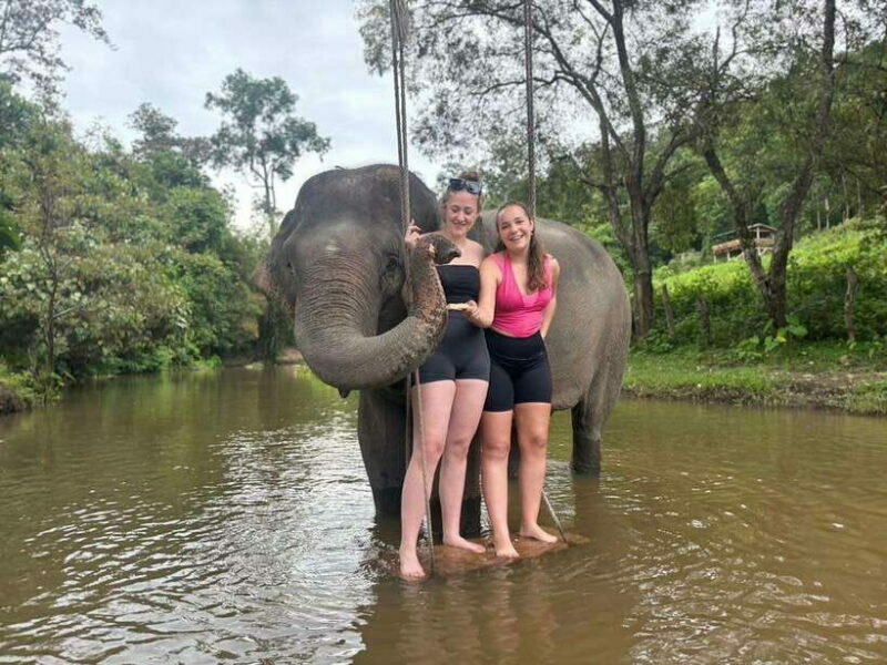 Chiang Mai: Elephant Sanctuary & Waterfall Group Tour - Who Is This Tour Best For?