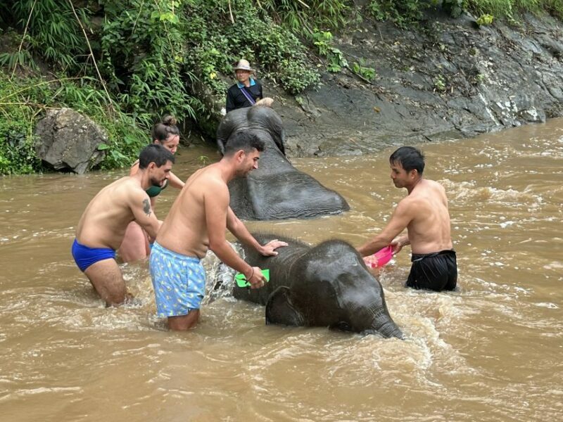 Chiang Mai: Elephant Sanctuary & Waterfall Group Tour - Additional Information