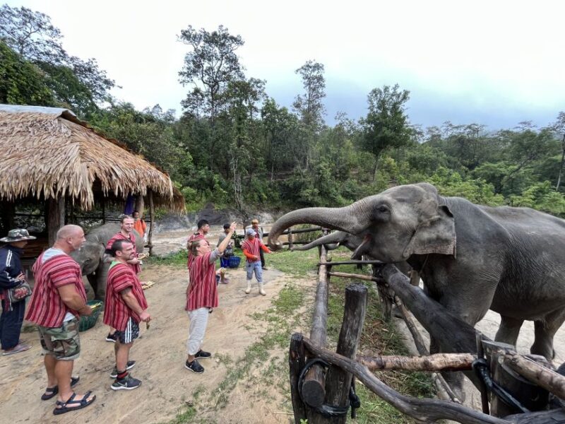 Chiang Mai: Elephant Sanctuary & Waterfall Group Tour - Itinerary Details