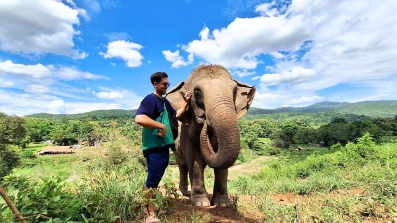 Chiang Mai: Elephant Sanctuary With Lunch Day Tours - Itinerary
