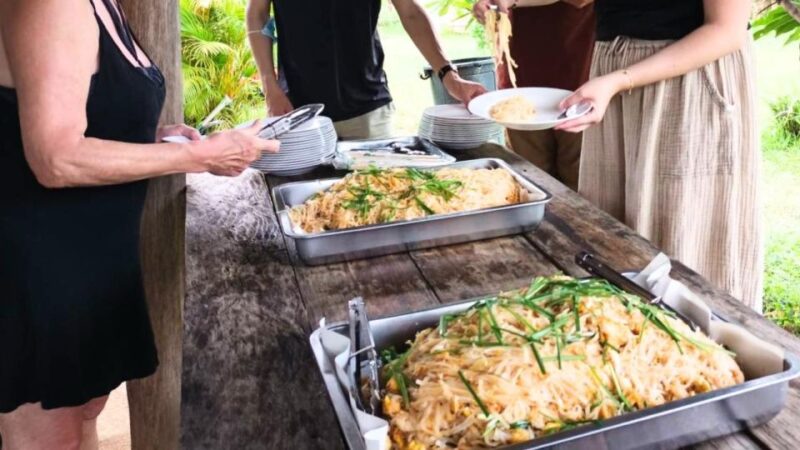 Chiang Mai: Elephant Sanctuary With Lunch Day Tours - Ethical Elephant Care