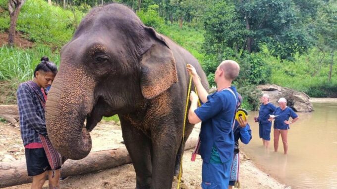 Chiang Mai: Elephant Sanctuary With Lunch Day Tours - Scenic Natural Habitat