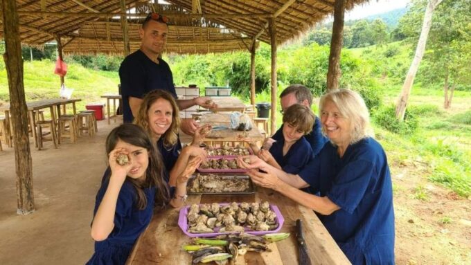 Chiang Mai: Elephant Sanctuary With Lunch Day Tours - Authentic Thai Lunch