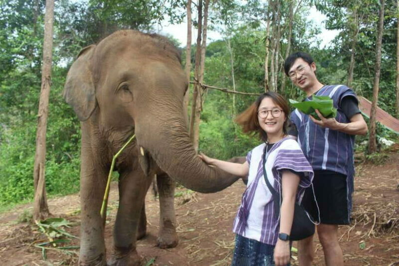 CHIANG MAI ELEPHANT VILLAGE SANCTUARY JUNGLE ADVENTURE - Authenticity and Reviews